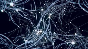 Étudier et Exercer le Métiers de Neuroscientifique avec un Master en Neuroscience
