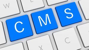 Quel type de CMS choisir pour faire son site web en entreprise