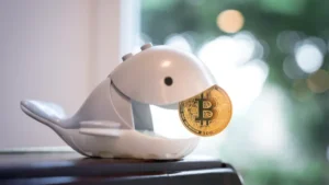 baleine bitcoin